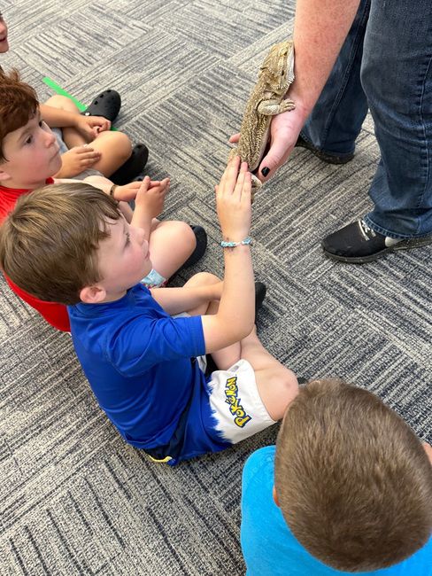 A Child's Garden Activity